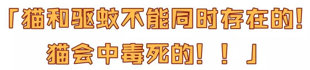 驱蚊产品会害死猫猫?真相是这样的~