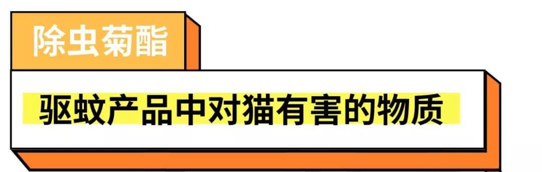 驱蚊产品会害死猫猫?真相是这样的~