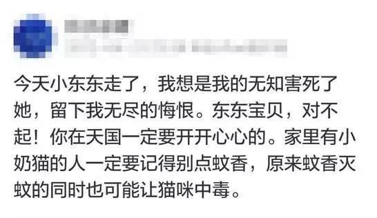 驱蚊产品会害死猫猫?真相是这样的~