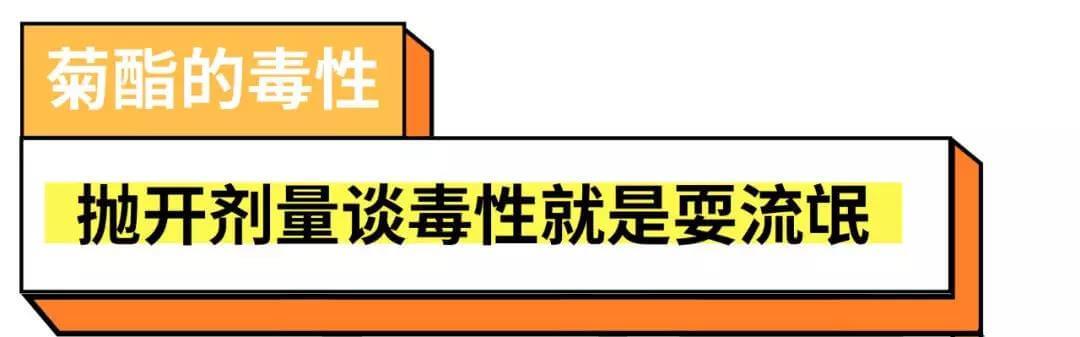 驱蚊产品会害死猫猫?真相是这样的~