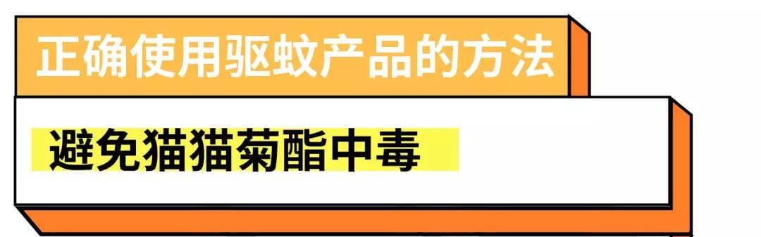 驱蚊产品会害死猫猫?真相是这样的~