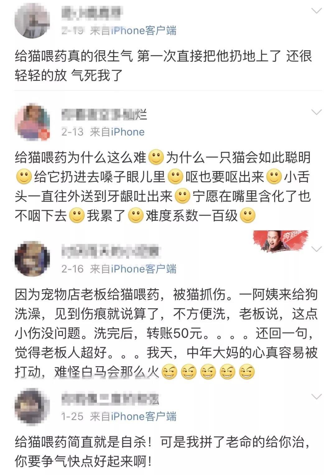 如何正确给猫咪喂药才能不被抓咬