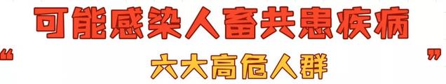 你对人猫共患疾病了解多少?