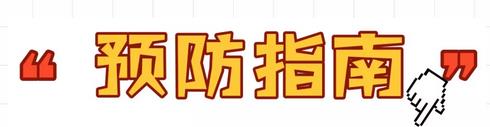 你对人猫共患疾病了解多少?
