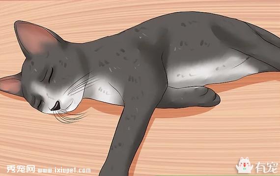 猫咪也会得可怕的白血病