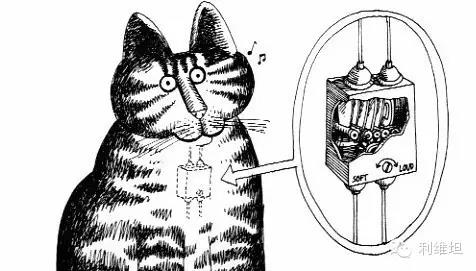专家解说|猫发出的“咕噜”声真能自我疗伤?