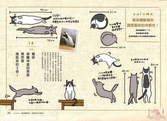 《猫奴必懂的100个喵喵秘密》图书介绍