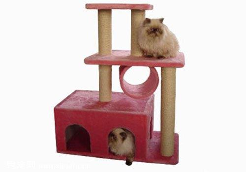 猫爬架的作用及制作流程