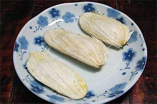 芒果怎么种盆栽，盆栽芒果的栽培技术