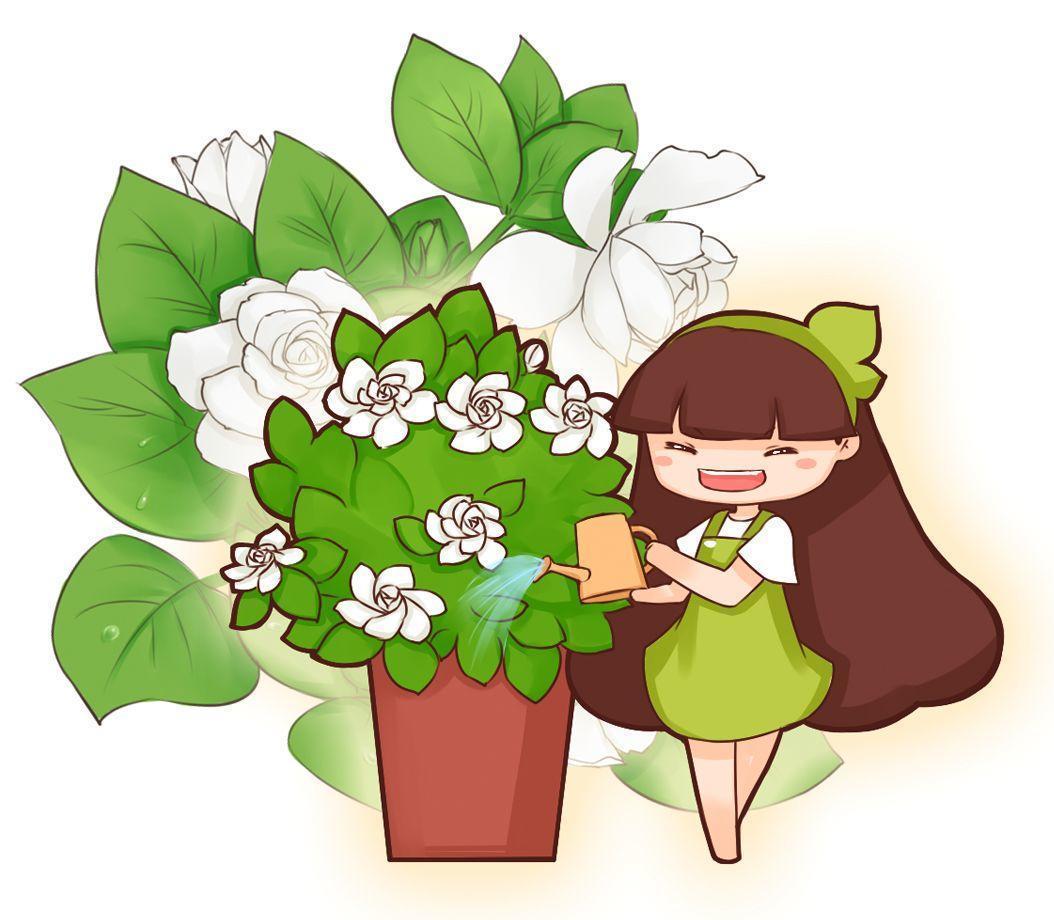 栀子花什么时候扦插，栀子花的扦插方法和注意事项