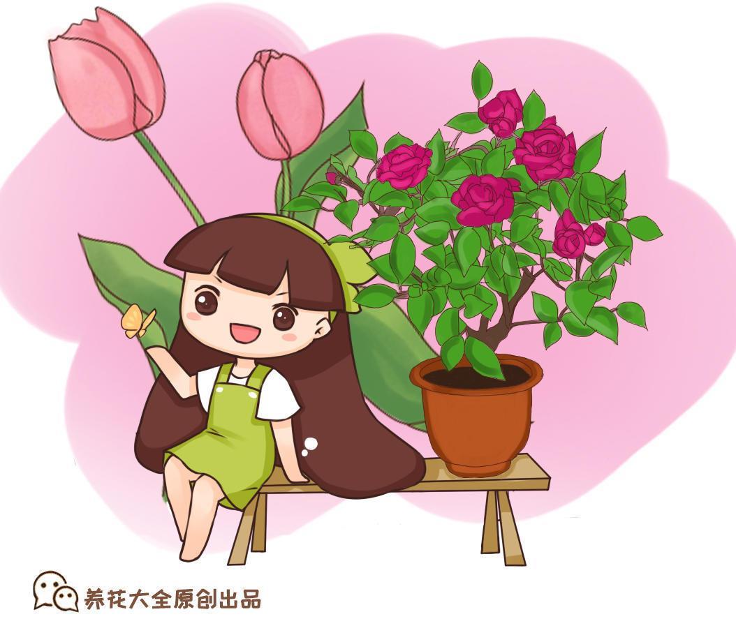 茉莉花如何养殖，详解茉莉花的养护知识