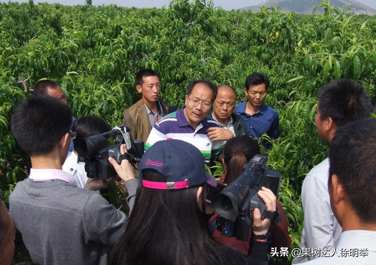 果树如何修剪树枝，果树剪枝的最佳时间和方法