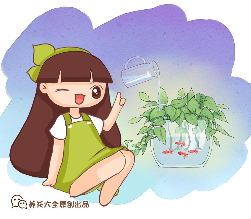 薄荷怎么养才能爆盆，盆栽薄荷养护的正确方法