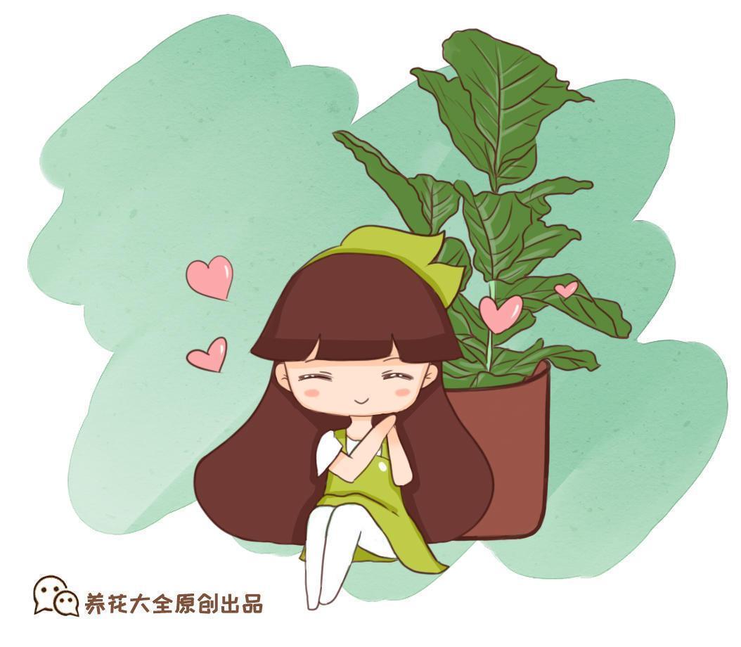 种什么植物可以驱蚊子，庭院驱蚊效果最好的植物推荐