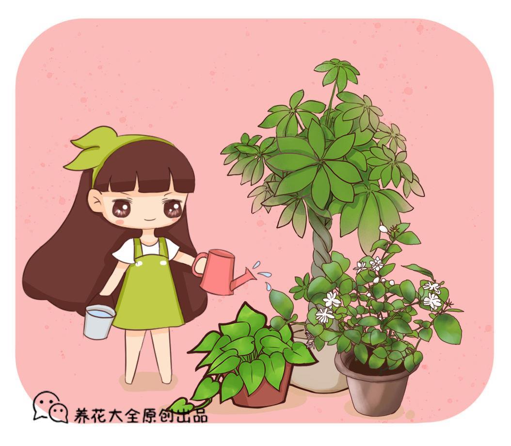 花卉栽培方法有哪些，分享花卉栽植的技术及要点