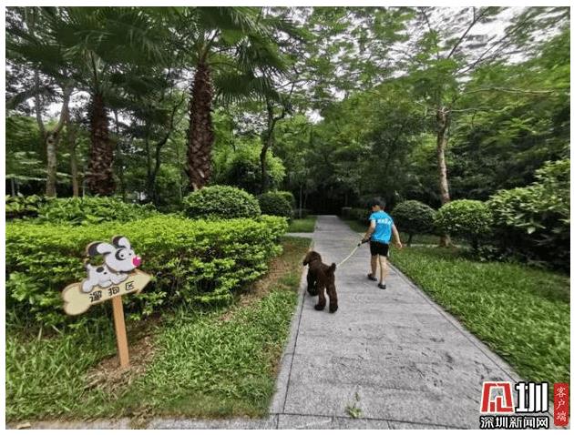 “十个一”养犬管理模式将在深圳全市推行_政策法规_宠物资讯_宠物家族网