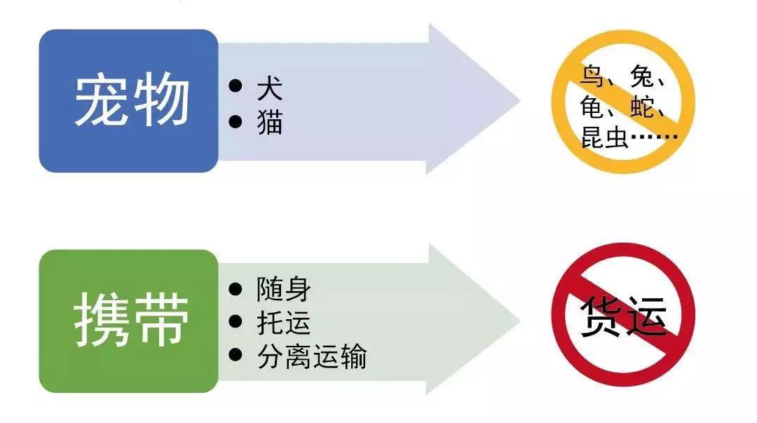 宠物入境新规实行3个月后，海关总署宣布了这些注意事项_政策法规_宠物资讯_宠物家族网