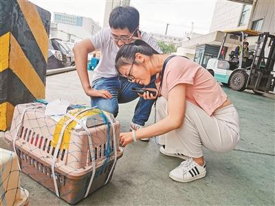 杭州机场为优化带宠出行旅客体验，为宠物设立贵宾室_政策法规_宠物资讯_宠物家族网