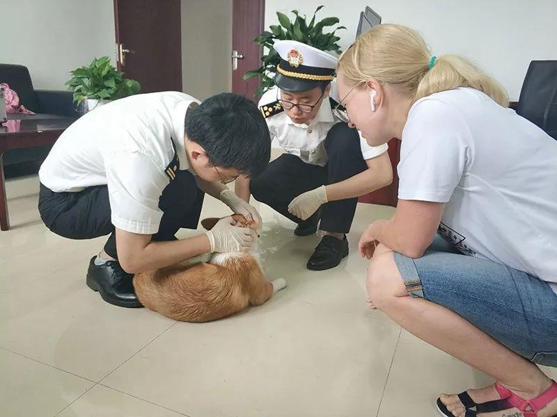 四川德阳海关首次为宠物犬办理出境检疫手续_政策法规_宠物资讯_宠物家族网