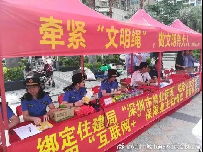 深圳将中华田园犬移出禁养名单_政策法规_宠物资讯_宠物家族网