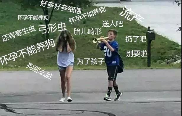 养狗的十个谣言，你听过几个？