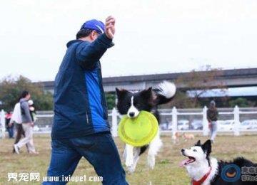 训练狗狗一定要打骂吗