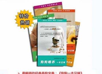 病犬养护|如何养护生病的狗狗？
