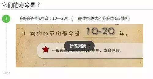 汪星人常见健康生理指标你知道吗？