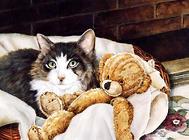猫咪肾衰如何诊疗?猫咪肾衰的透析治疗!