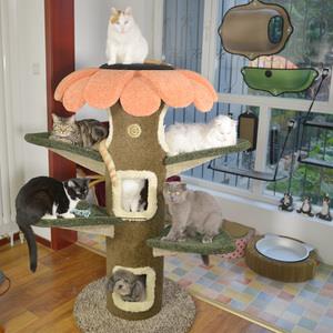 如何选购猫爬架？猫爬架选购的三大要点！
