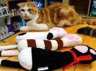 选择猫咪玩具的几个注意事项?可别随意哦!