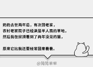 在猫咪的眼里，它们是如何理解离别的？