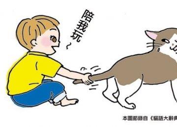 猫咪饲养的8个NG行为及关系改善建议【图】
