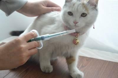 猫咪疫苗 妙三多和英特威到底哪个好？