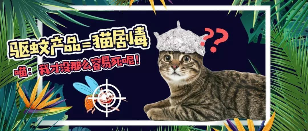 驱蚊产品会害死猫猫?真相是这样的~