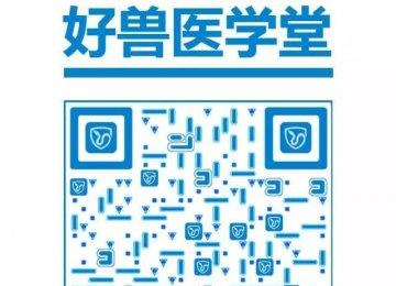 【眼科】小动物眼科急诊状况及处置－概述