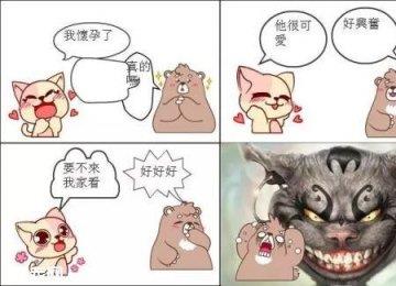 猫咪下崽崽前的六个特殊征兆！