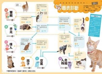 猫猫的六大行为看你在它心中的地位【详解】