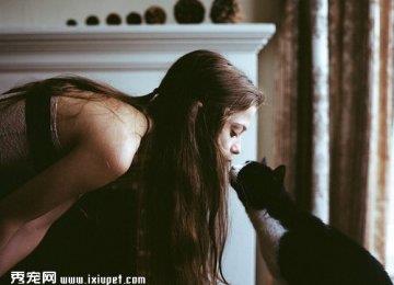 猫奴必看：四种方法测试你家猫咪是否喜欢你！