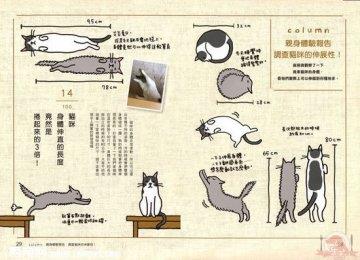 《猫奴必懂的100个喵喵秘密》图书介绍