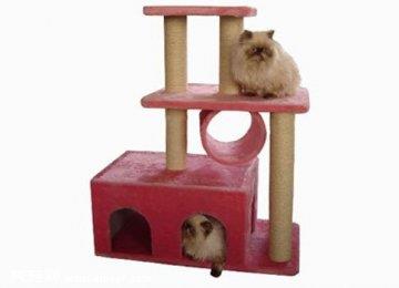 猫爬架的作用及制作流程